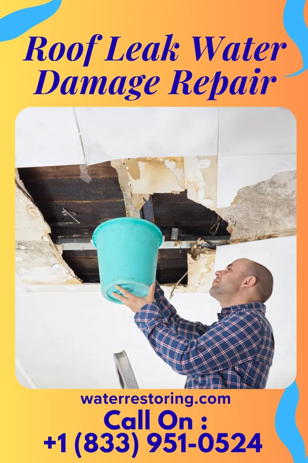 Roof Leak Water Damage Repair in Floydada, TX