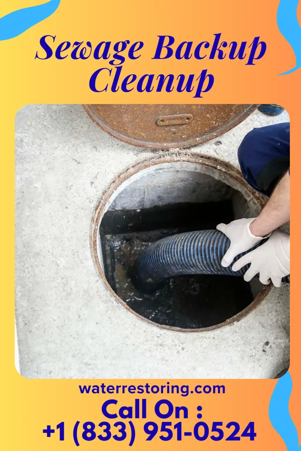 Sewage Backup Cleanup in Floydada, TX